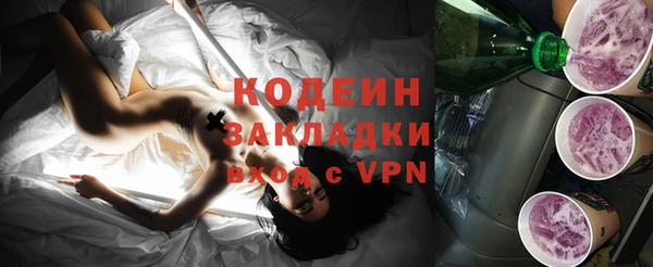 шишки Абаза