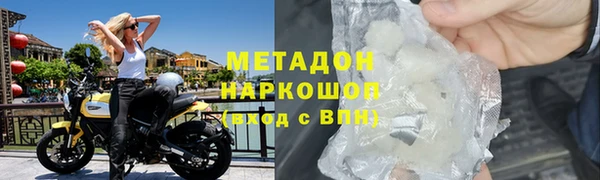 шишки Абаза