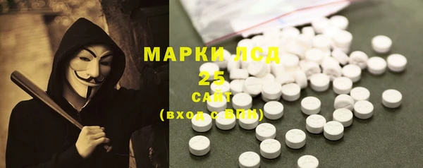 шишки Абаза