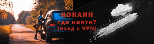 шишки Абаза