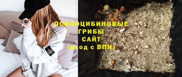 шишки Абаза