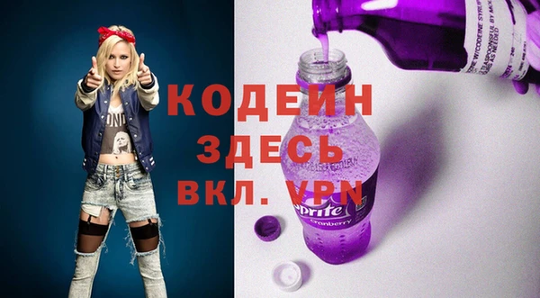 шишки Абаза