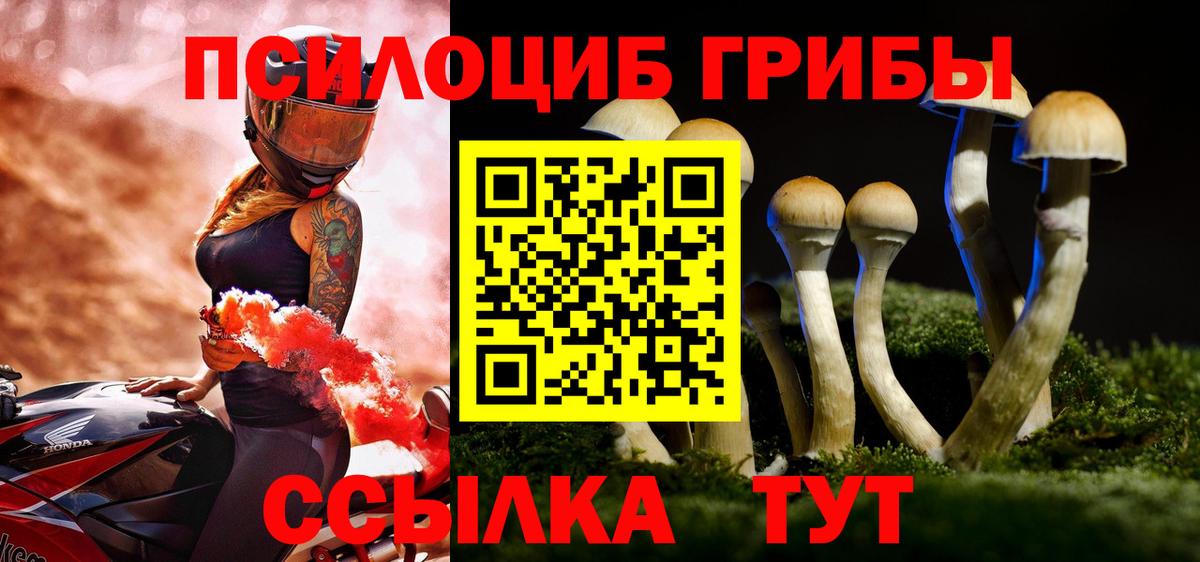 Псилоцибиновые грибы Cubensis  Вход с VPN  Дербент 