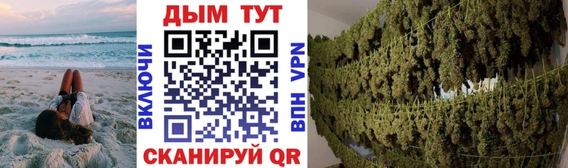 Бошки Шишки VHQ  купить закладку  маркетплейс официальный сайт  Дербент 